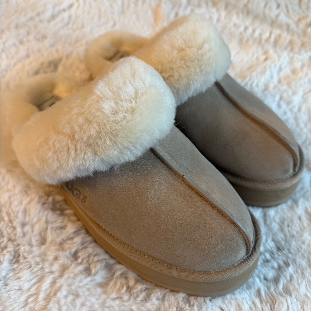 Ugg Disquette